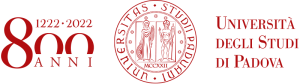 800anni_logo